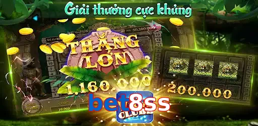 bet8ss